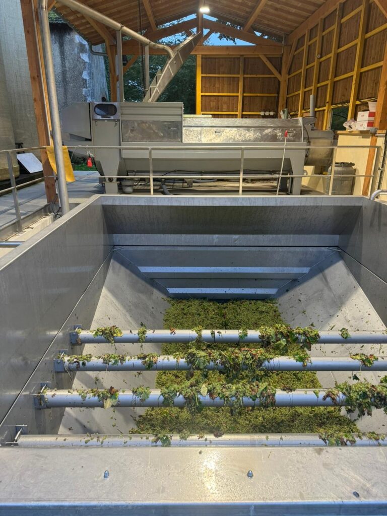 Pressing bin Sigognac