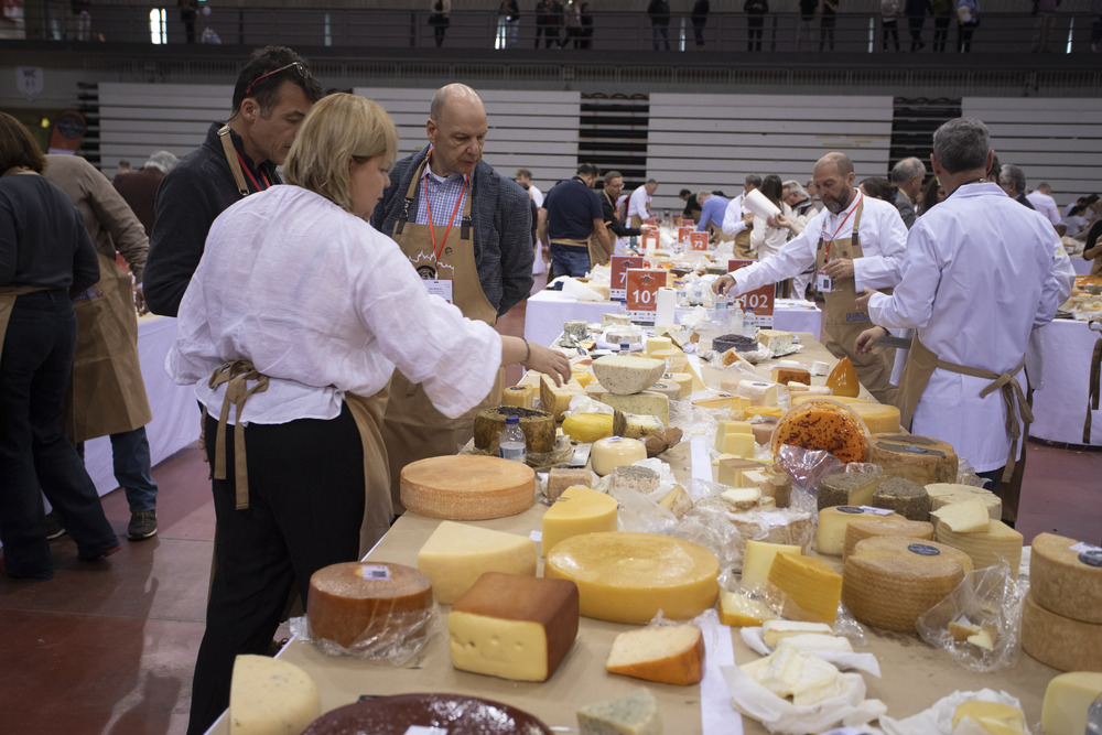 World Cheese Awards 2024_Viseu_credit Guild of Fine Food_Paulo Fernandes_12