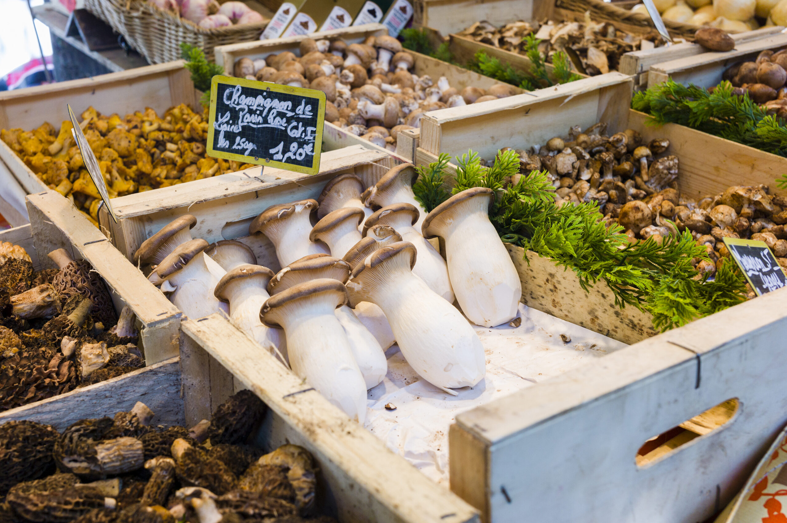 Au marché in November: What to buy at a French market this month